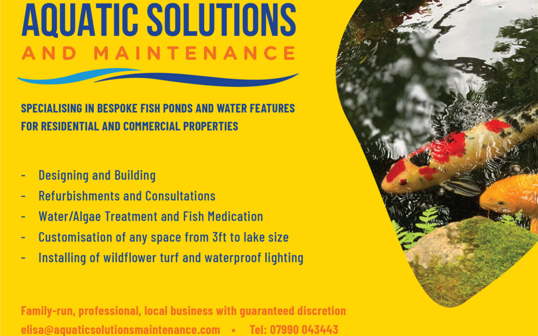 Aquatic Solutions
