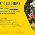 Aquatic Solutions