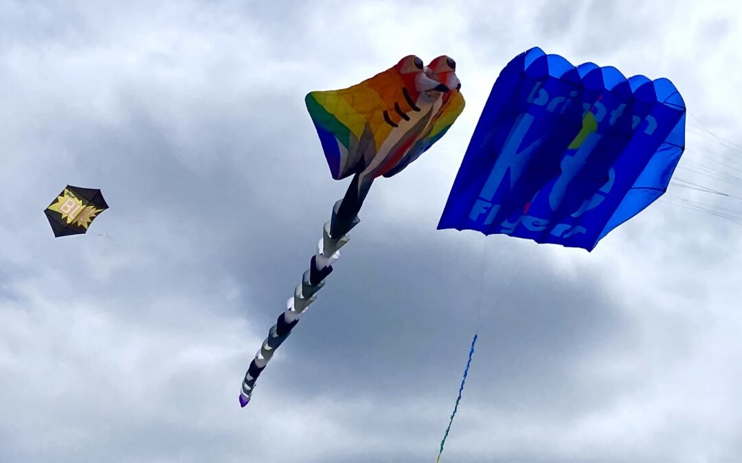 Kite Display at Parliament Hill Park