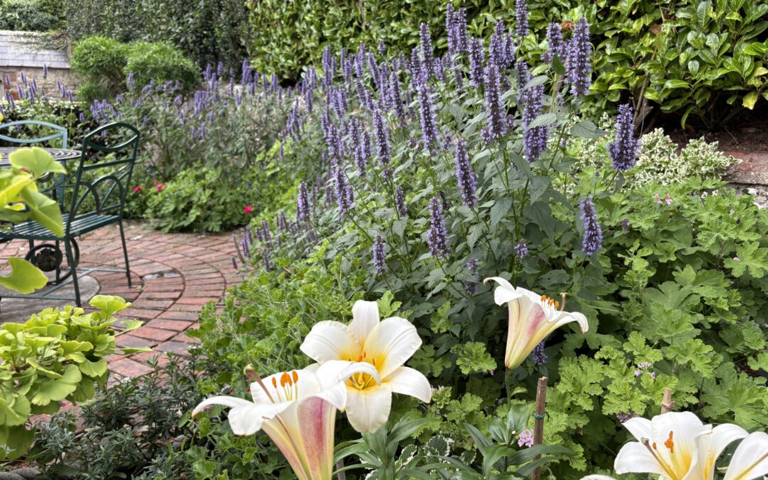 Live Your Best Garden Life