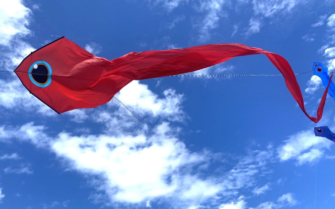 Kite Display at Parliament Hill Park