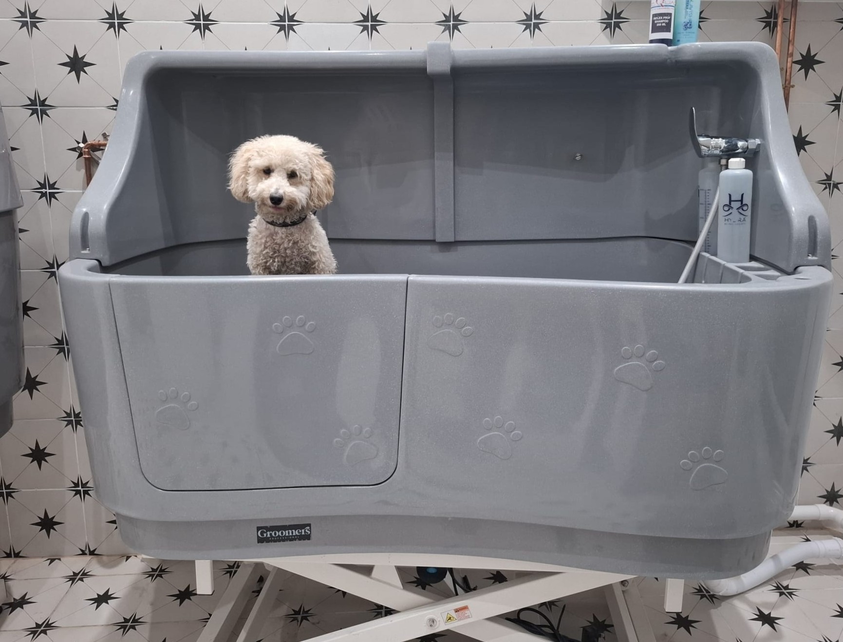 precious paws dog in bath
