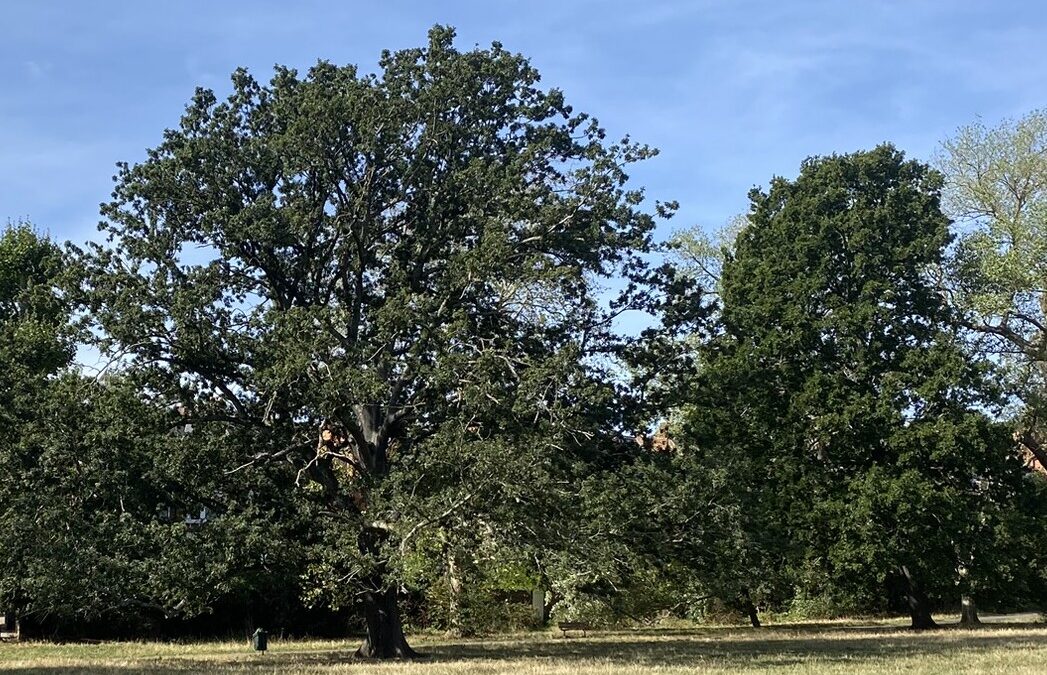 Journaling in Nature