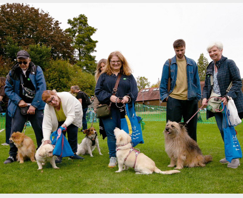 The Great Hampstead Bark Off